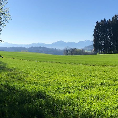 Апартаменты Wanderlust Chiemgau Бад-Эндорф Экстерьер фото